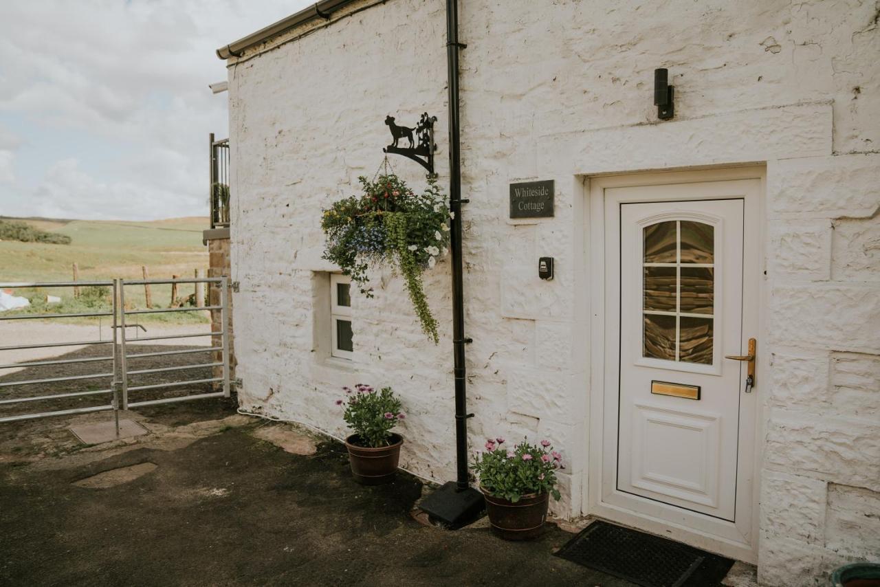 White Side Cottage Haltwhistle Exterior foto