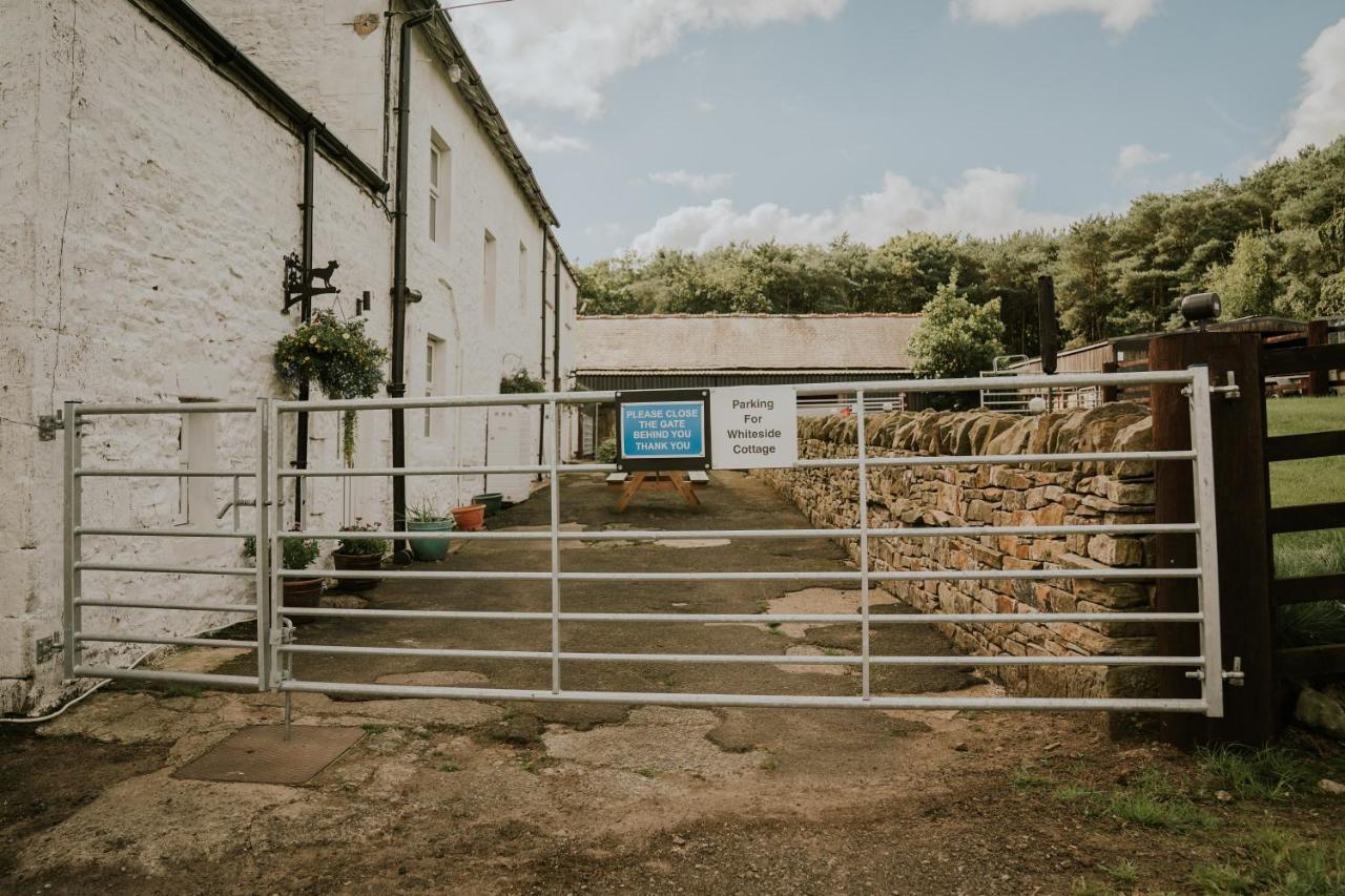 White Side Cottage Haltwhistle Exterior foto